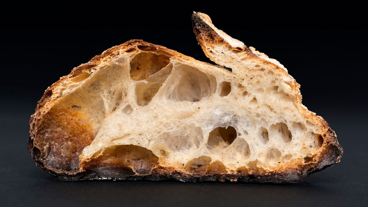slice of high hydration sourdough