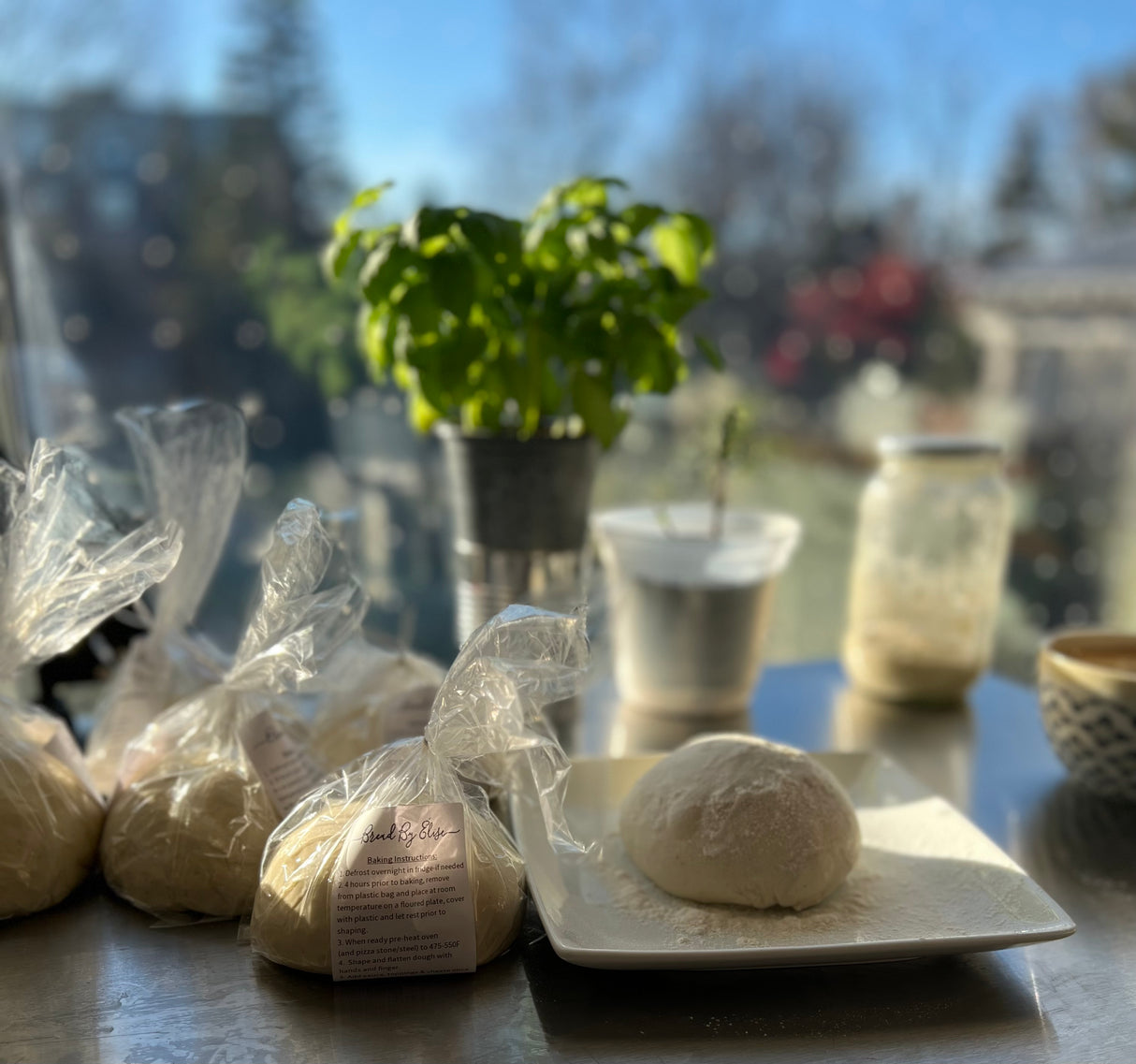 Sourdough Pizza Dough