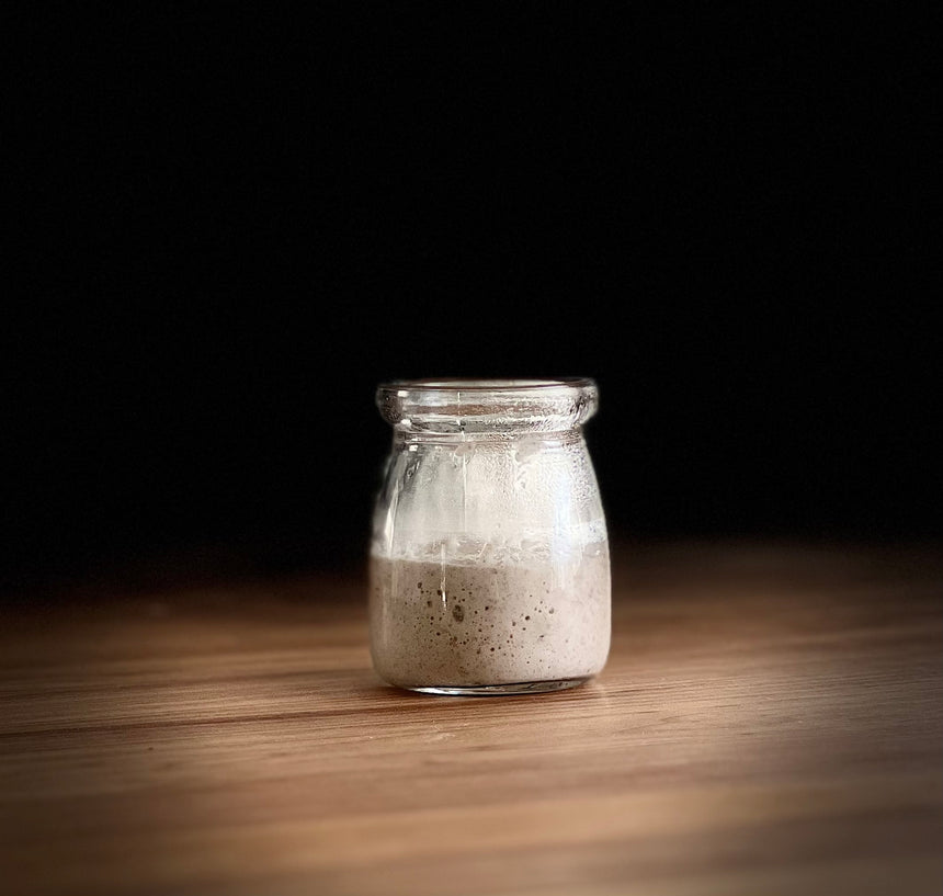 Whole Wheat Sourdough Starter (Dried)