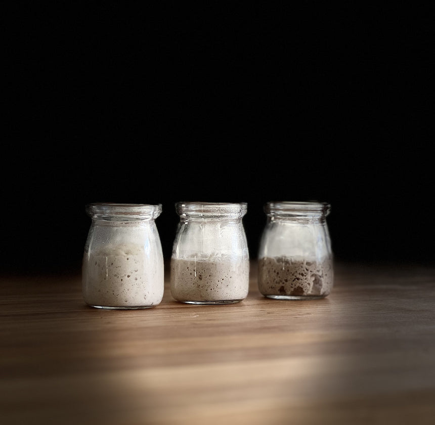 Artisanal Sourdough Starter Collection