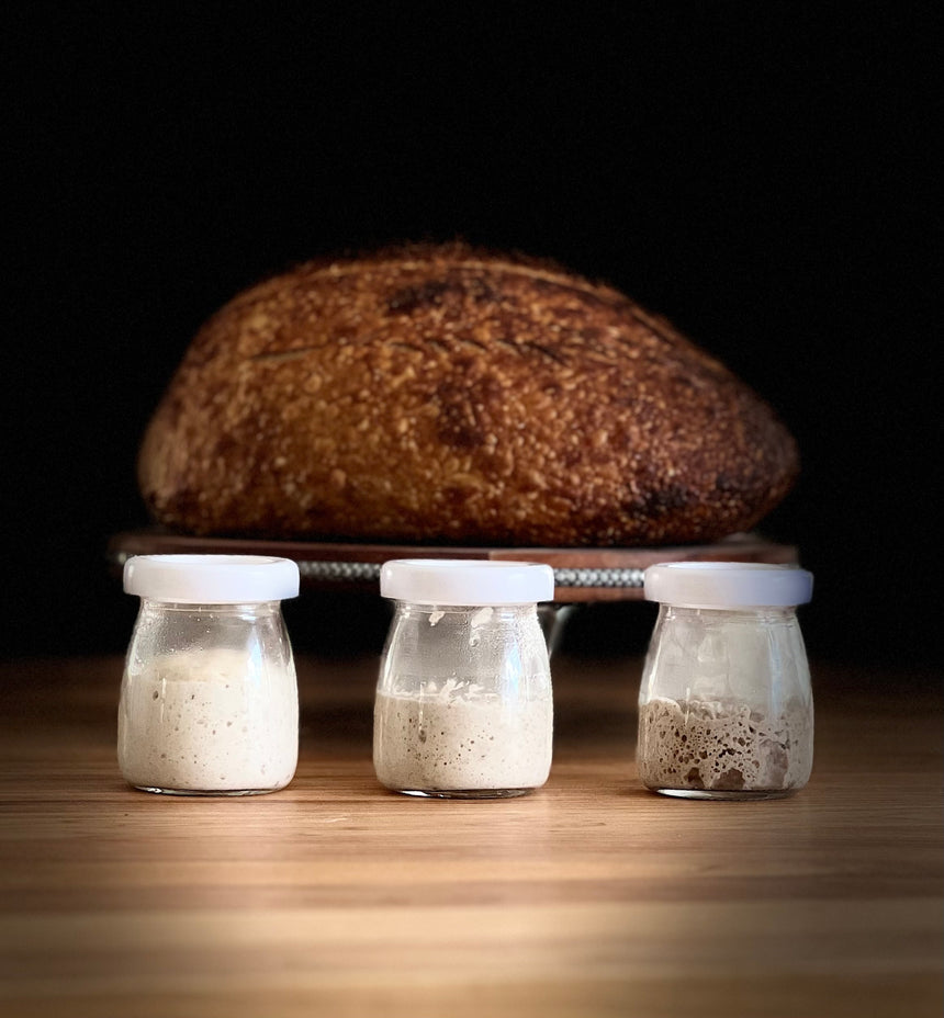 Artisanal Sourdough Starter Collection