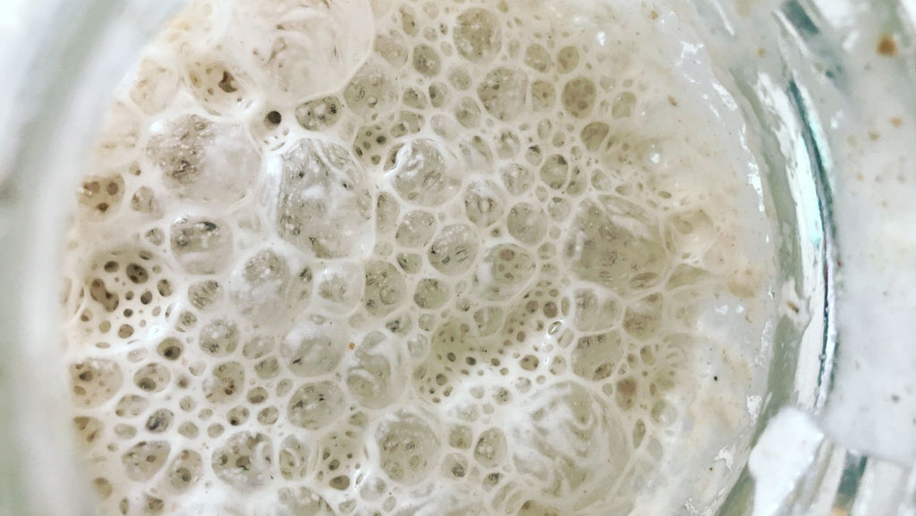 Bubbly Active Sourdough Starter