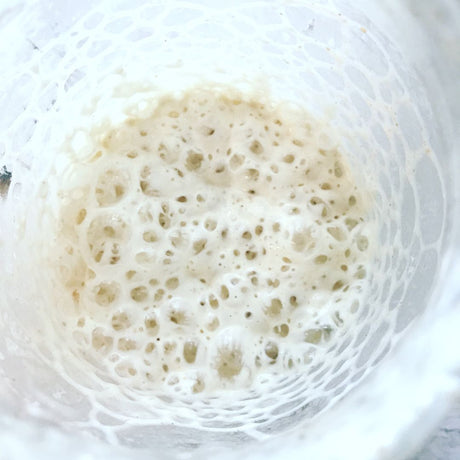 How to Make a Sourdough Starter (Online)