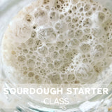 Top view of active bubbly sourdough starter