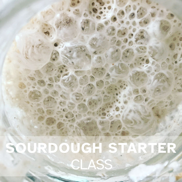 Top view of active bubbly sourdough starter