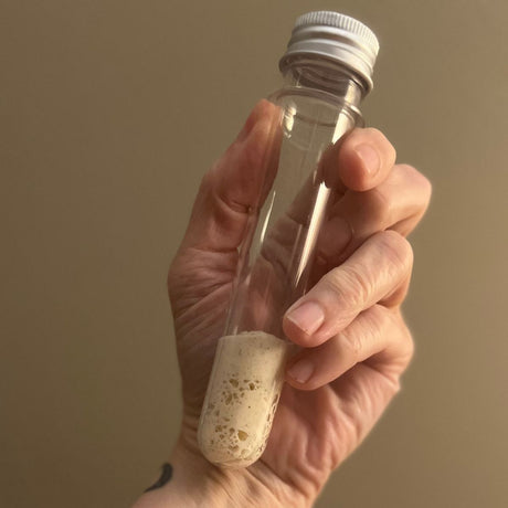 Stiff Sourdough Starter (10 g) – Fresh, Active, and Ready to Bake