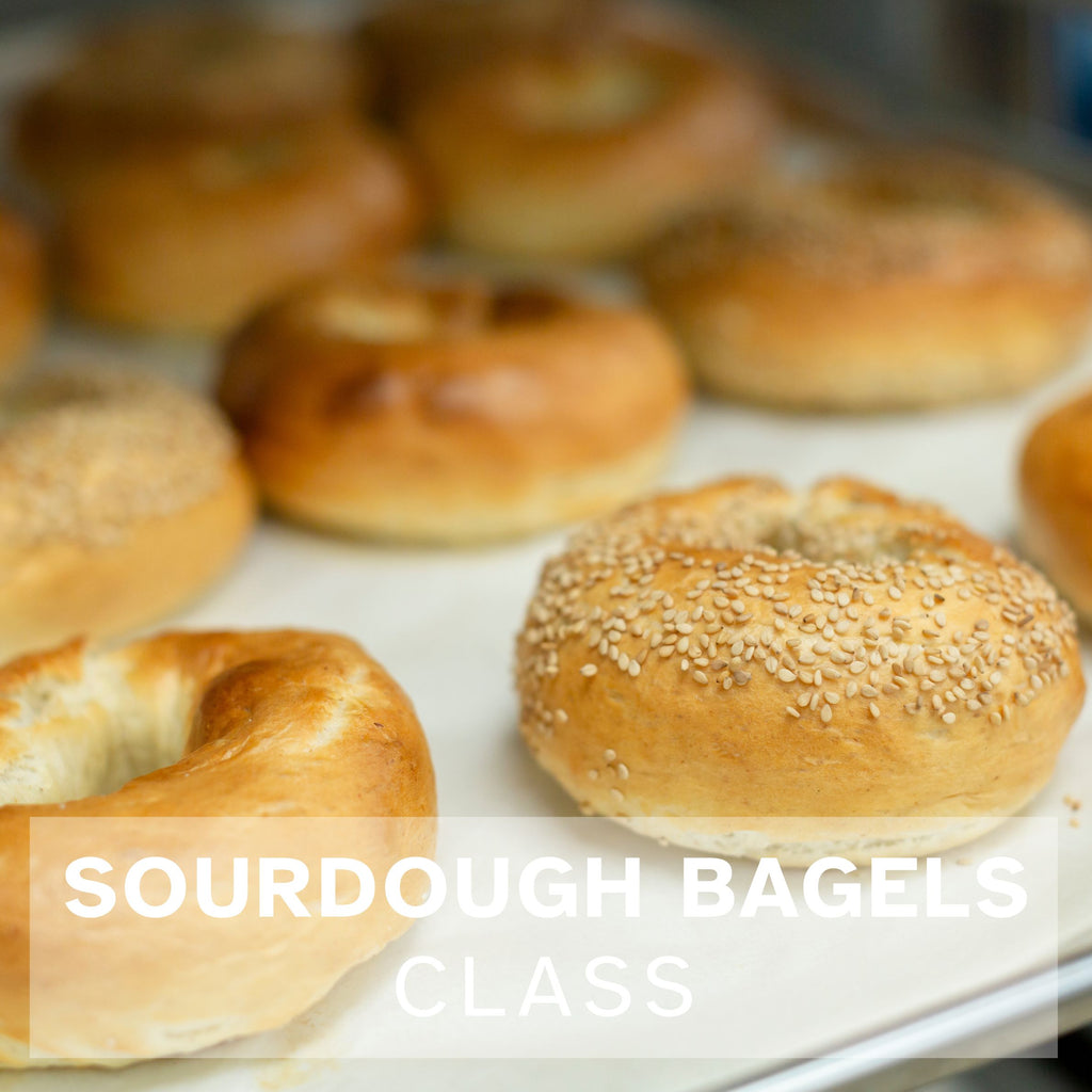 Sesame seeded sourdough bagles