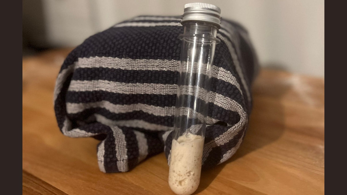 Stiff Sourdough Starter (10 g) – Fresh, Active, and Ready to Bake