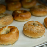 fresh baked montreal style sourdough bagels