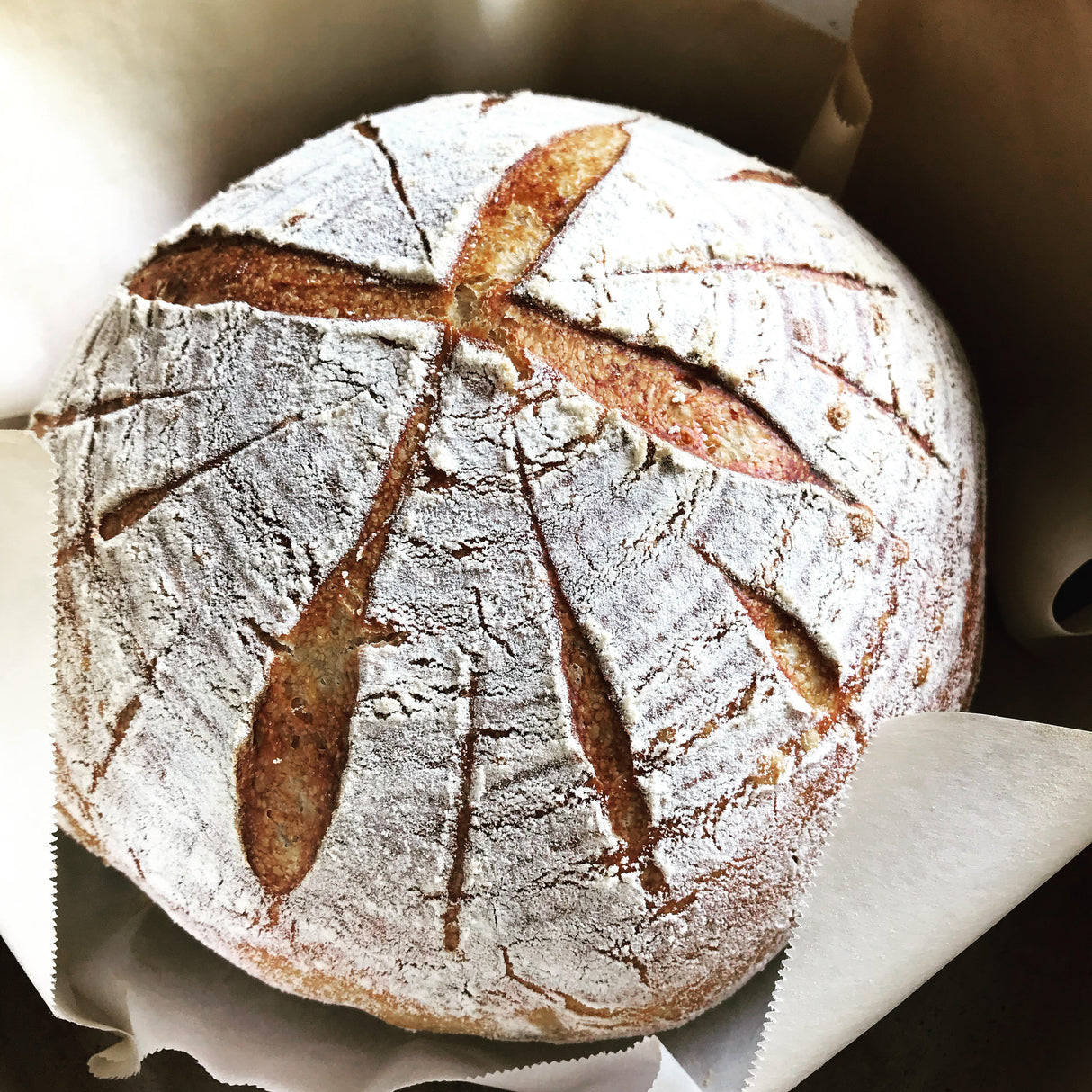 Stiff Sourdough Starter (10 g) – Fresh, Active, and Ready to Bake